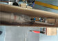 La transferencia fácil de la espuma del espray del mantenimiento bombea” alta vida mecánica del mercado flúido G1/2 proveedor